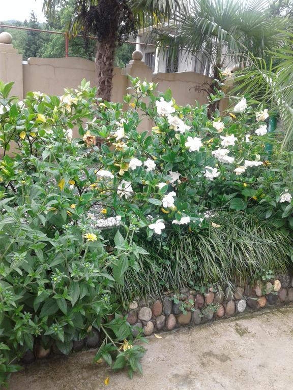 Gonio Apsaros House Hotel Ngoại thất bức ảnh