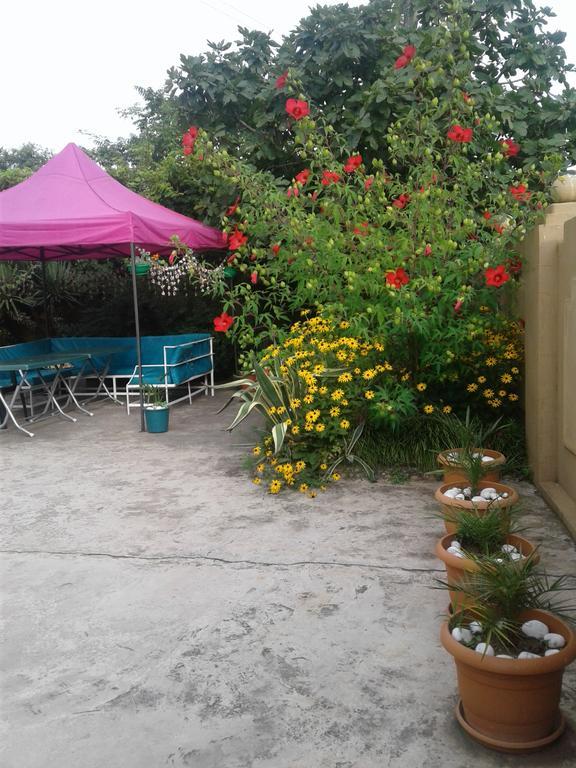 Gonio Apsaros House Hotel Ngoại thất bức ảnh